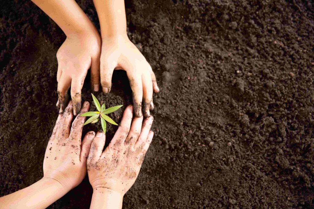 child-hands-holding-caring-young-green-plant-min