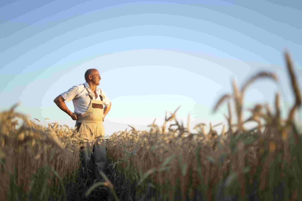 portrait-senior-farmer-agronomist-wheat-field-looking-distance-min